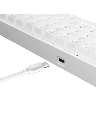 Clavier Gaming Mécanique White Shark...