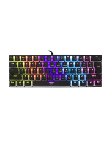 ASHIKO Noir - interrupteurs bleus