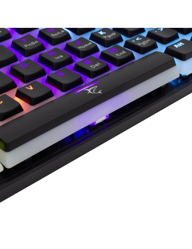 ASHIKO Noir - interrupteurs bleus