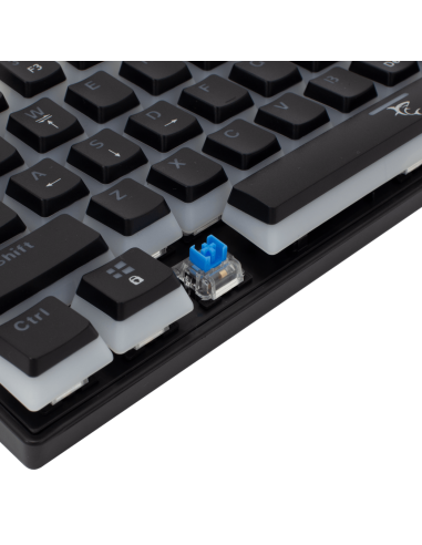 ASHIKO Noir - interrupteurs bleus