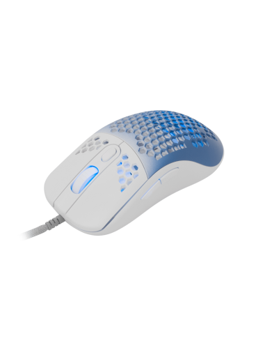 Souris Gamer + Tapis de souris...