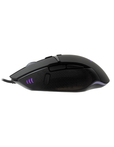 Souris Gaming RAPTOR Black - BGM-051BLK