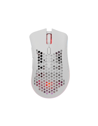 Souris Gaming sans fil LIONEL GM-5012...