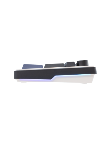 Clavier WhiteShark EXCALIBUR | White...