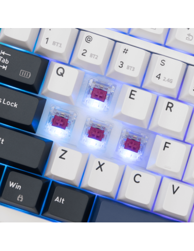 Clavier WhiteShark EXCALIBUR | White...