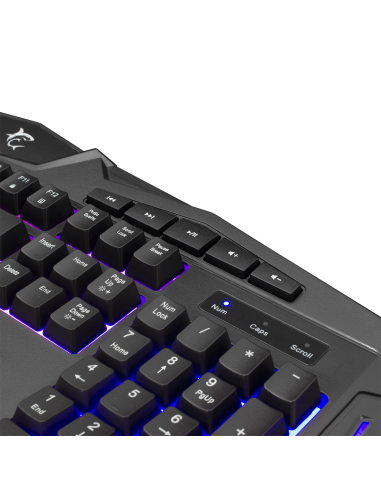 Clavier Gamer WHITE SHARK Kiowa / Cro...