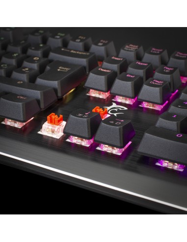 Clavier Gamer Mécanique WHITE SHARK...